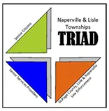 triad logo